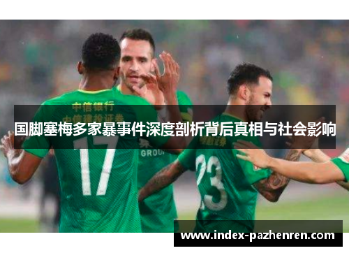 国脚塞梅多家暴事件深度剖析背后真相与社会影响