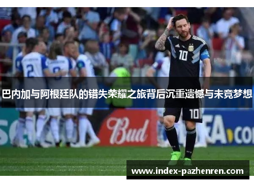 巴内加与阿根廷队的错失荣耀之旅背后沉重遗憾与未竟梦想