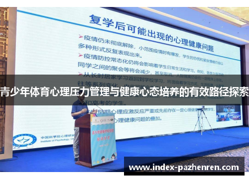 青少年体育心理压力管理与健康心态培养的有效路径探索