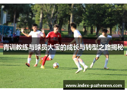 青训教练与球员大宝的成长与转型之路揭秘