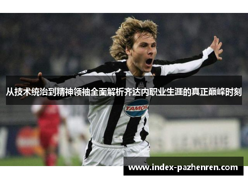 从技术统治到精神领袖全面解析齐达内职业生涯的真正巅峰时刻