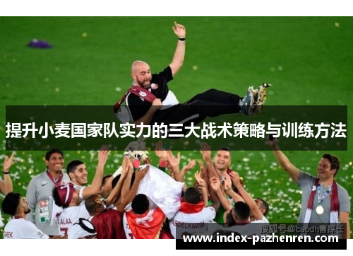 提升小麦国家队实力的三大战术策略与训练方法