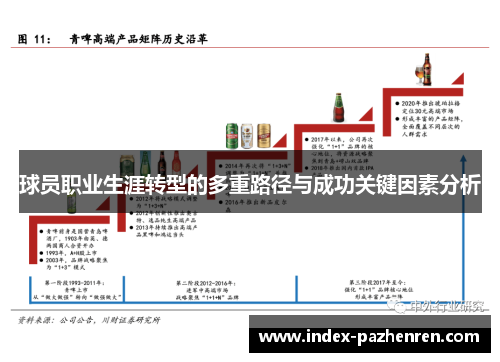 球员职业生涯转型的多重路径与成功关键因素分析