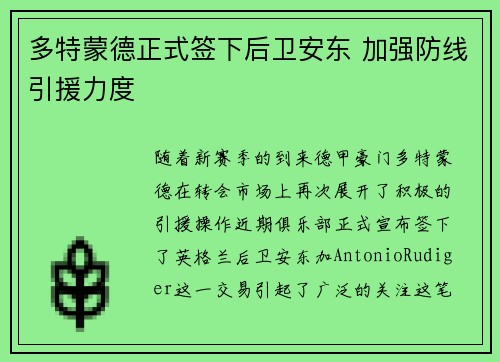 多特蒙德正式签下后卫安东 加强防线引援力度